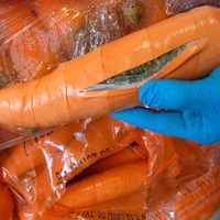 Hallan en Texas más de mil 100 kilos de mariguana en cargamento de zanahorias