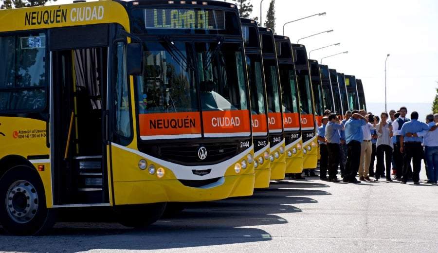 Colectivos de Neuquén. Fuente: (Twitter)