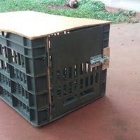 Con 2 cajones de verdulería plásticos: creá esta fabulosa mesa ratona y "low cost" para tu living