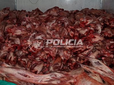 Importante secuestro de carne transportada de manera irregular en Rincón de los Sauces