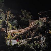 Viento y destrozos en San Martín: evacuaron a dos mujeres tras la caída de un árbol