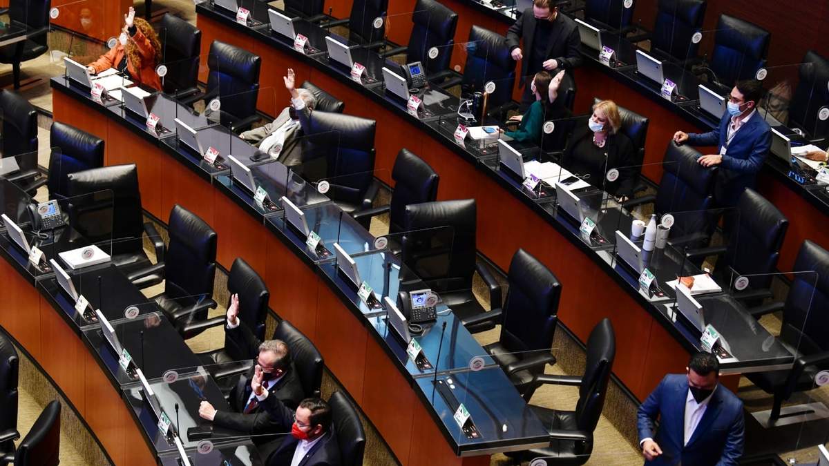 La Cámara de Senadores