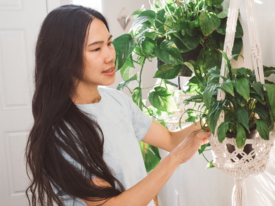 Olvidate de regar de tus plantas con estas macetas de autorriego que podés fabricar vos mismo