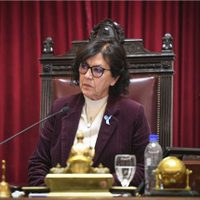 Silvia Sapag celebró la aprobación definitiva de la Ley nacional de Emergencia en Discapacidad