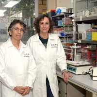 Desarrollan en la UNAM molécula contra el cáncer de mama