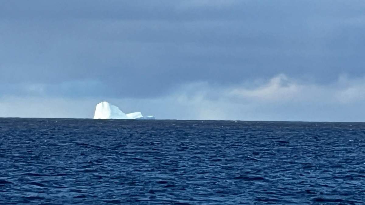 El iceberg apareció en las costas de Tierra del Fuego. Fuente: (X)