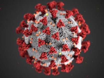 En Suiza descubren anticuerpo capaz de neutralizar todas las variantes de covid-19