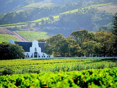 Ciudad del Cabo se suma a la lista de las Capitales del vino