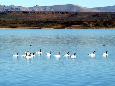 Designaron nuevo intendente del Parque Nacional Laguna Blanca