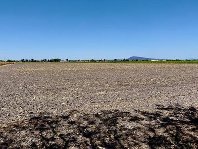 Fabricantes de agroquímicos piden continuidad transexenal para un uso eficaz del agua