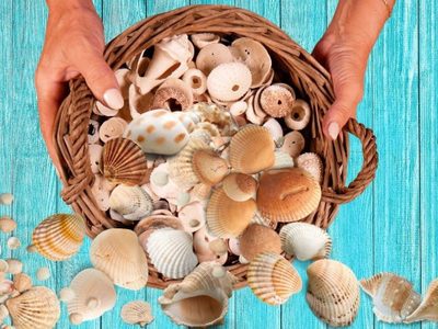 Desempolvá los caracoles que tenés de la playa: hacete estos coquetos móviles para decorar