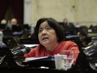 Insólito: una diputada criticó al proyecto de IVE por no considerar "los derechos del hombre"