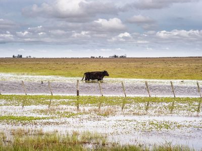 Inundaciones en la provincia de Buenos Aires: las consecuencias del abandono al campo