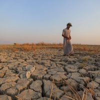 2023 podría ser el año más caluroso registrado, pero 2024 será un infierno por culpa de “El Niño”