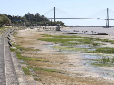 ¡No pegamos una! ¡Millonaria pérdida por la bajante del Paraná!