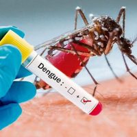 Grave: fallecieron una mujer y un hombre por sarampión y dengue, respectivamente