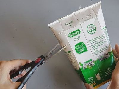 No las tires: transformá las cajas de leche vacías en este divino y útil proyecto para tus mini suculentas
