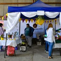 Arrancó con todo la Expo Adultos en Zapala