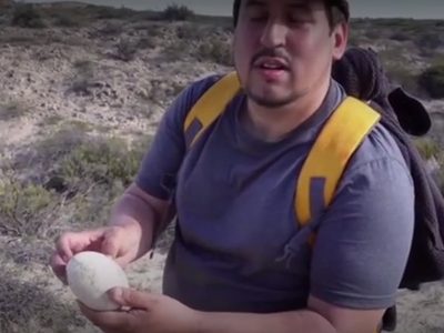 Hallan en la Patagonia el huevo de dinosaurio carnívoro mejor conservado