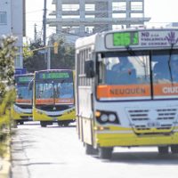 Colectivos en Neuquén: para garantizar el distanciamiento, tomaron una importante decisión