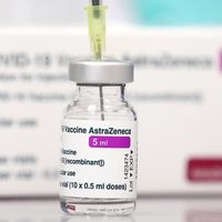 Plan de Vacunación: este lunes llegarán más de 500 mil dosis de AstraZeneca