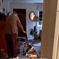 Tierno paseo de un abuelo con su bisnieta mientras da sus primeros pasos se vuelve viral (video)