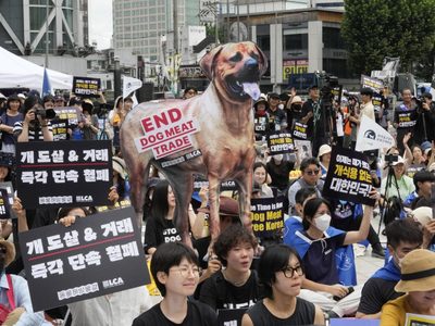 Corea del Sur veta la producción y venta de carne de perro
