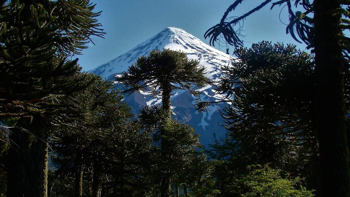 Postal del volcán Lanín. Fuente: (Twitter)