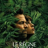 Cine: "Criaturas asombrosas"