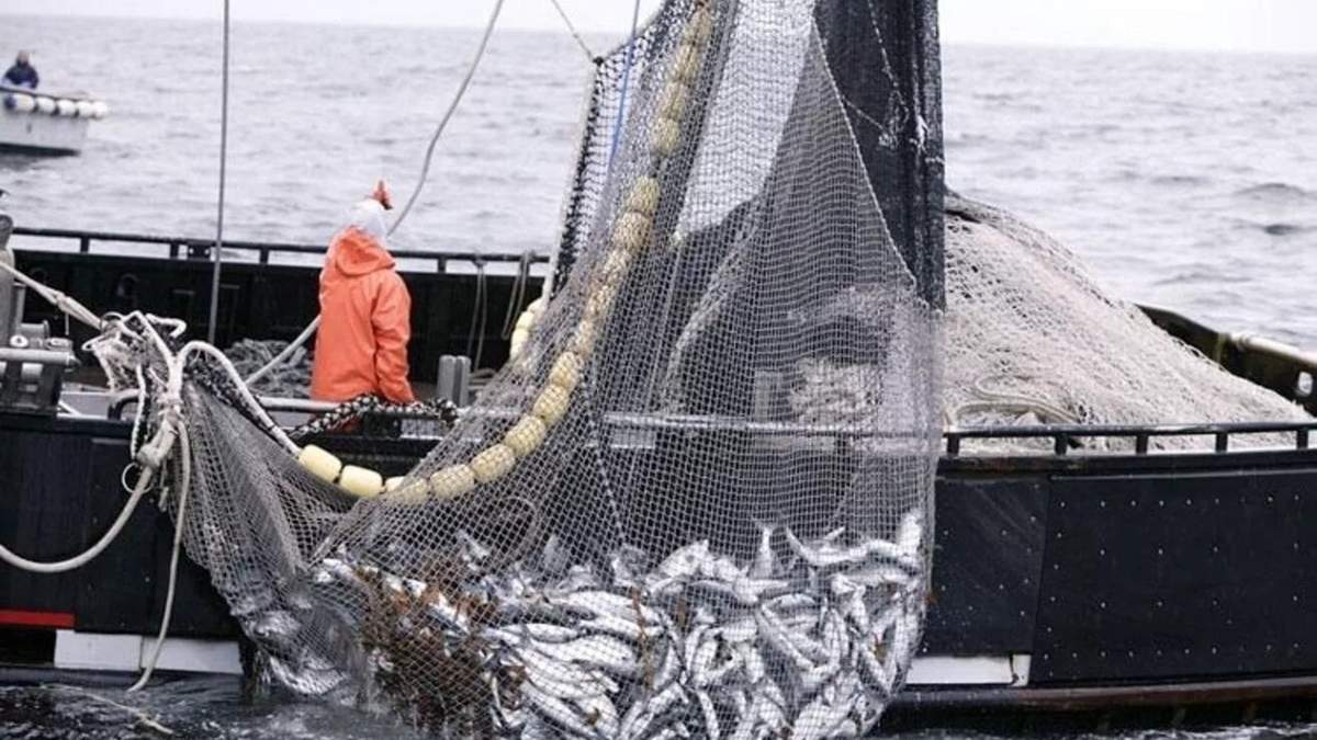 El gobernador busca darle continuidad a la pesca de merluza. Fuente: (redes sociales)
