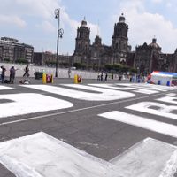 Pintan el Zócalo para exigir la liberación de Susana Prieto Terrazas