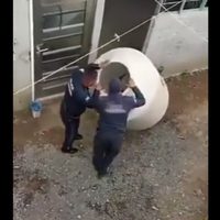 Rescatan a una niña de 3 años del tinaco en el que la dejaron sus padres (Video)