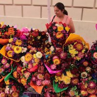 #Procesofoto, las imágenes del día