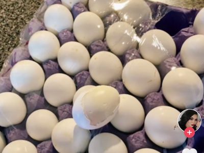 Olvidan dentro de su auto un cartón de huevos … y éstos terminan cocidos por el calor (Video)