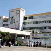 Niña mordida por murciélago murió por posible contagio de rabia silvestre en Oaxaca