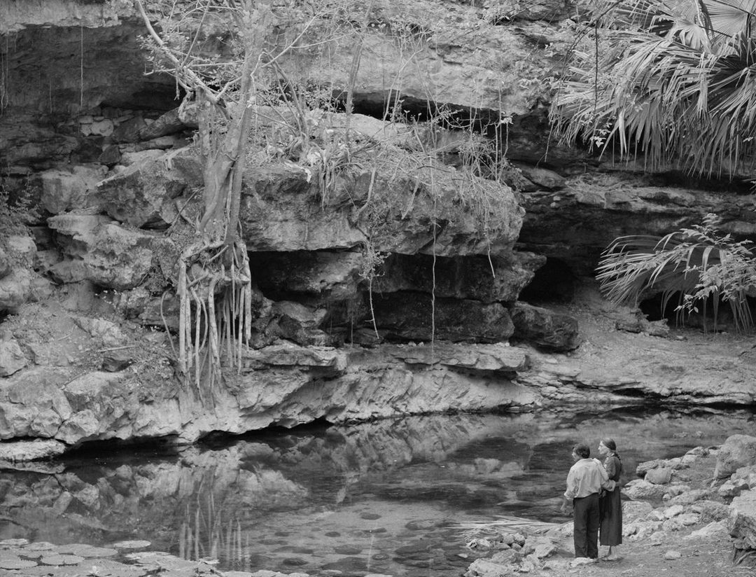 La amistad al final de la vida. Foto Distribuidora Piano