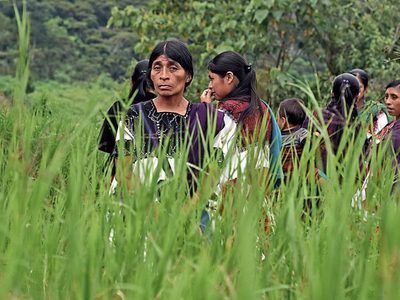 Desapariciones y cientos de desplazados tras la batalla de Lajerío en Chiapas