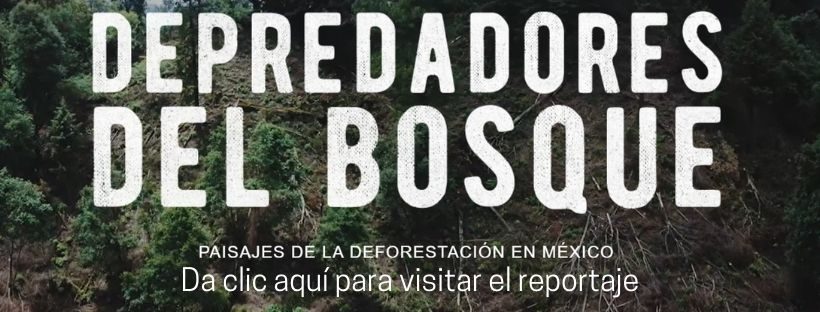bannerdepredadoresnota