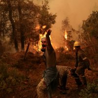 El fuego calcinó más de 300 mil hectáreas en la Unión Europea en 2020, pero este año sería aún peor