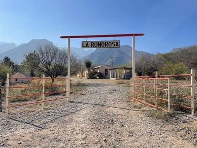 Célula del Cártel del Noreste mata a empresario ganadero y a su chofer en NL
