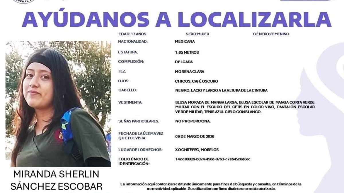 Ficha de búsqueda