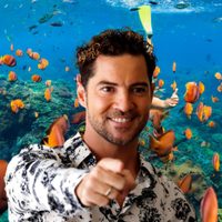 Lejos de España, David Bisbal disfrutó de una escapada romántica en un destino de ensueño