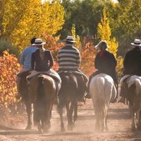 Encuestan a consumidores del vino para repensar el Enoturismo nacional