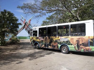 Cuba detecta presencia de influenza aviar y cierra zoológico