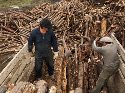 Aseguran que pudieron repartir leña en zonas rurales de Neuquén donde no llega el gas