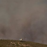 Bomberos de Grecia combaten el gran incendio registrado en el parque nacional de Dadia