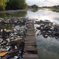 La Tierra se encuentra en peligro en casi todos los aspectos ecológicos, advierte estudio