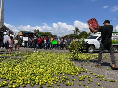 La ley del miedo gobierna Michoacán: El territorio que el narco estrangula con puño de hierro