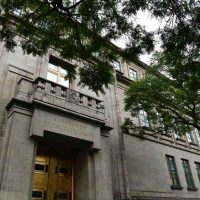 Justicia con y sin precedentes