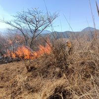 El Ejército activa el Plan DNIII por incendios forestales en Veracruz